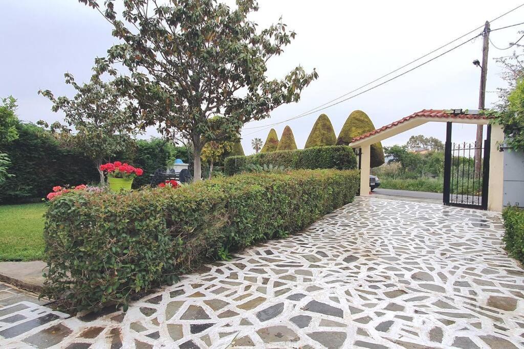 Vacation Studio Oropos Nea Palatia Екстериор снимка